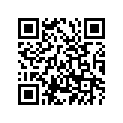 170-17811-00-00 