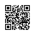 17050-389-770ZA Tank, fuel *yr26*