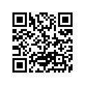 17165-02110-000 Rubber