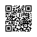 17200-354-005 Cleaner.,r air