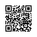 17205-148-610 ELEMENT-AIR-CLR