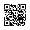 17209-GCM-900 RUBBER,HEAT PROTE
