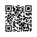 17210-ZA0-505 ELEMENT,AIR/C(DU
