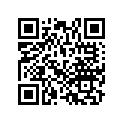 17210-ZE7-013 SSBY-11-17210-ZE7-505-AIRCLEANERELEMENT