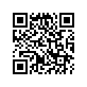 17211-044-020 Element, cleaner