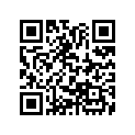 17212-030-000 Element, cleaner