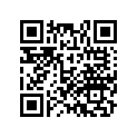 17213-MJT-E00 PLATE, RR.