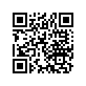 17214-381-000 Element,cleaner