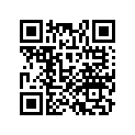 17214-MCB-610 RUBBER,ELEMENT
