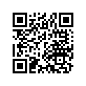 17215-300-020 R cleaner stay