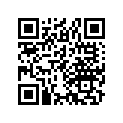 17215-444-000 Band