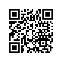 17216-300-030 Stay,l.cleaner