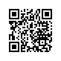 17216-965-000 Rubber