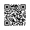 17218-890-003 SSBY-11-17218-890-505-FILTER(OUTER)