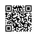 17218-890-505 FILTER(OUTER)
