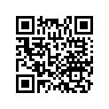 17222-HL4-A00 *17222-hl4-a01