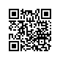 17222-MFF-D00 Уплотнение  шток клапана