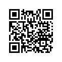 17225-MFF-D00 Plug