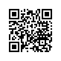 17233-MR8-300 Rubber