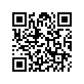 17233-ZBH-W00 SEAL