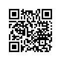 17238-HL6-A00 PLATE, RING