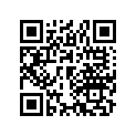 17243-268-000 Stay b,cleaner
