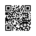 17245-273-010 Rubber
