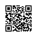 17245-MW4-000 Seal B, A/clnr Hsg