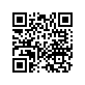 17251-MB4-000 Net