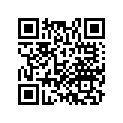 17251-MJT-E00 