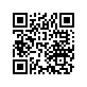 17252045300 PACKING CLEANER