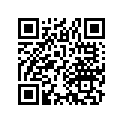 17253-405-300 TUBE,CONNECTING