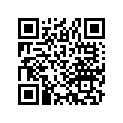 17254-961-003 Element