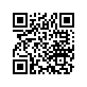 17254-961-013 Element A