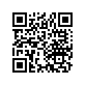 17255-114-000 Band