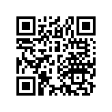 17255-202-000 Band