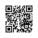 17256-200-000 Circlip-b