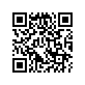 17256-259-000 Band b