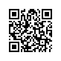 17256-KWZ-900 BAND (44)