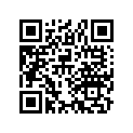 17257-385-000 Bar, tube, b