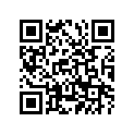 173-81111-10-00 Brush