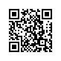 173-81132-20-00 PLATE,TIMING