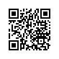 17337-323-300 Filter