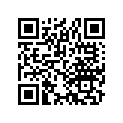 17337-426-300 FILTER