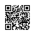 17357-387-300 Packing,air clean