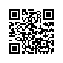17381-MC8-300 Rubber B