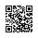 174-17461-50-00 938221506500