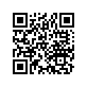 17411-888-810 JOINT
