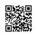 17502-MFF-D00ZC 
