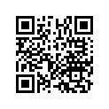 17504-KN5-670 Rubber B